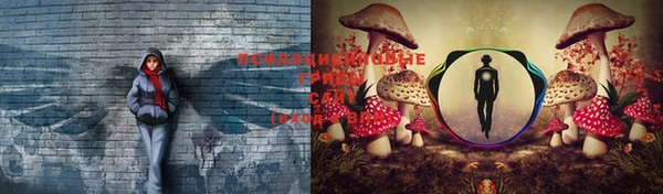 винт Лабытнанги